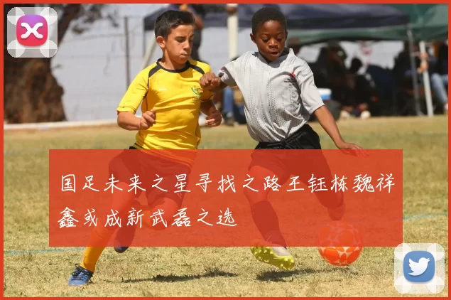 国足未来之星寻找之路王钰栋魏祥鑫或成新武磊之选