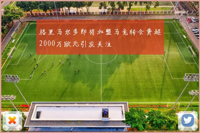 格里马尔多即将加盟马竞转会费超2000万欧元引发关注